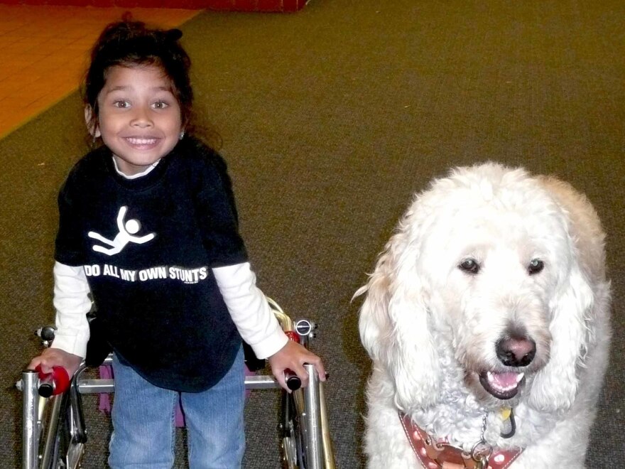 Ehlena Fry, then in kindergarten, stands with her service dog, Wonder.