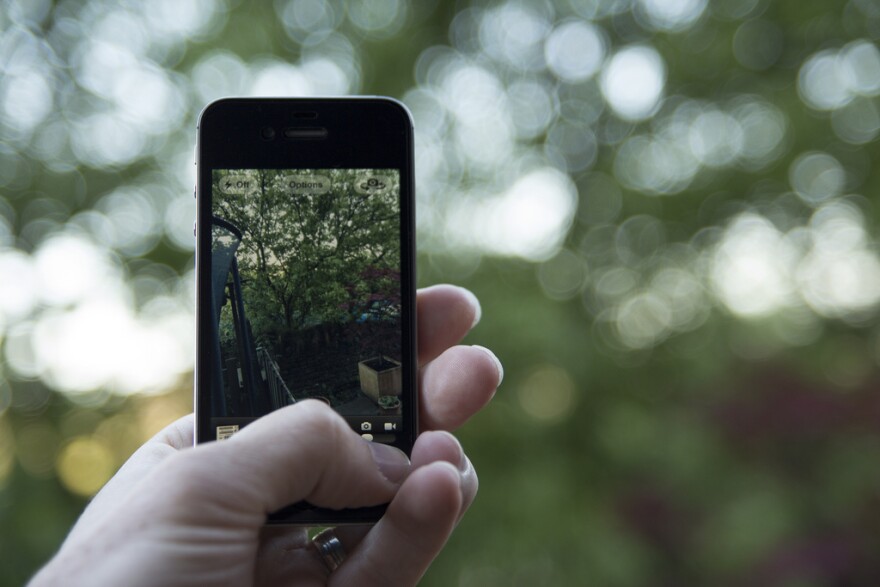 garden_phone.jpg