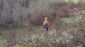 FILE - A hunter walks through the woods on the first day of regular firearms deer hunting season in most of Pennsylvania, Monday, Nov. 26, 2018, in Zelienople, Pa.
