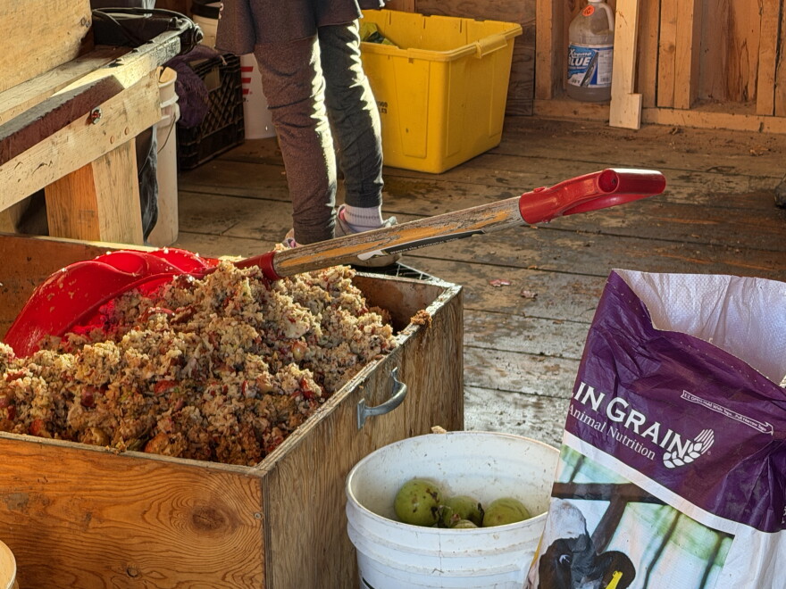 A wooden box full of ground apple pomace with a snow shovel sticking out