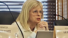 Sen. Liz Brown, R-Fort Wayne, speaks during an April 2025 committee meeting.