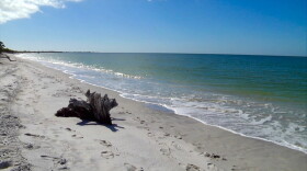 Beach on Cayo Costa