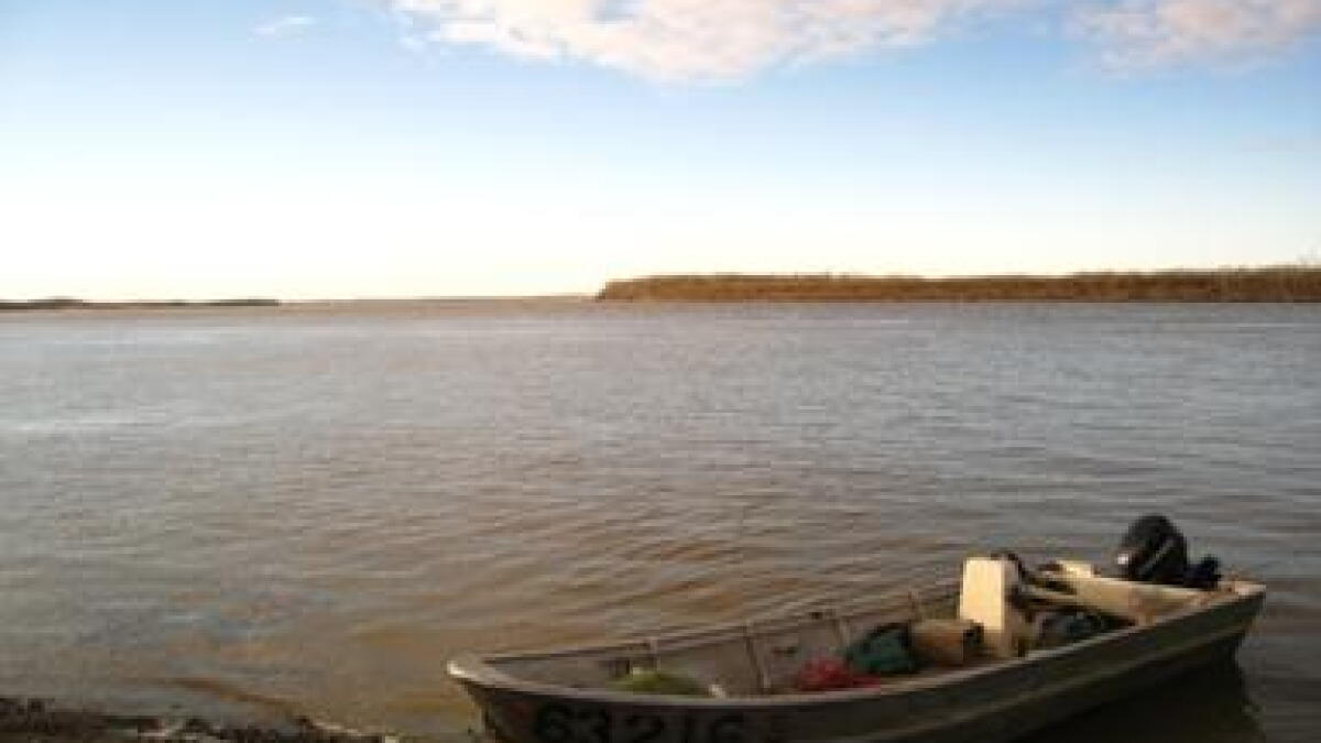 Fisheries managers announce Yukon River closures - Vimarsana News