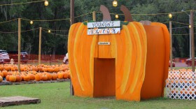 Galeria de fotos del evento “Buy a Pumpkin Feed a Child” 2025. Fotos por: Candy Fontana Verde.