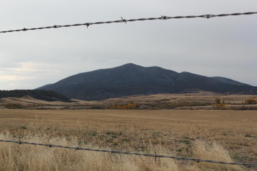 A view from north of the South Moccasin Fire on Oct. 7, 2021.