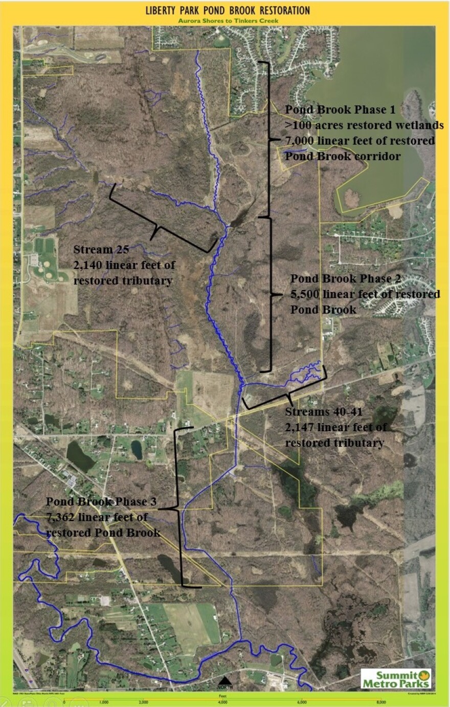 photo of Pond Brook restoration