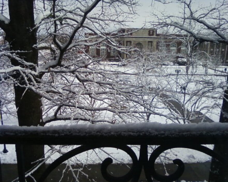 Murray State University's quad, 2010
