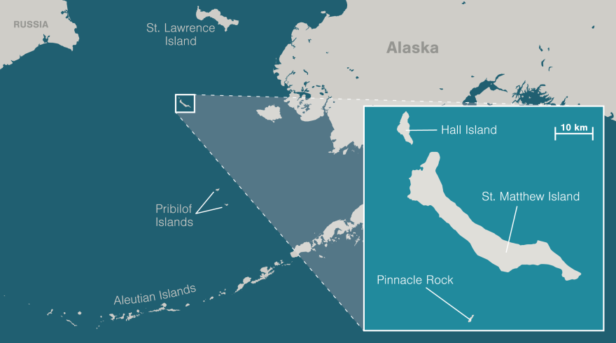 map-wilderness-st-matthew.png