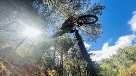 A mountain biker going over a jump. 