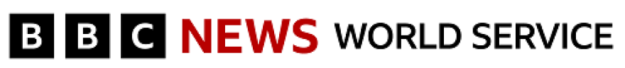 BBC News World Service Logo