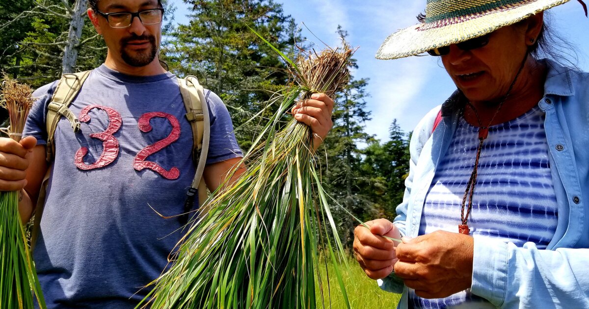 Maine Basket Maker Wins Prestigious 50,000 Fellowship Maine Public