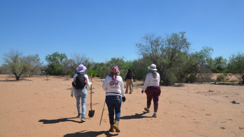 A group of Madres Buscadoras de Sonora treks through the desert in the outskirts of Hermosillo to search for the remains of their missing children.