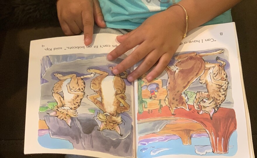 North Carolina's new reading mandate makes weary teachers spend long hours  learning | WFAE 90.7 - Charlotte's NPR News Source