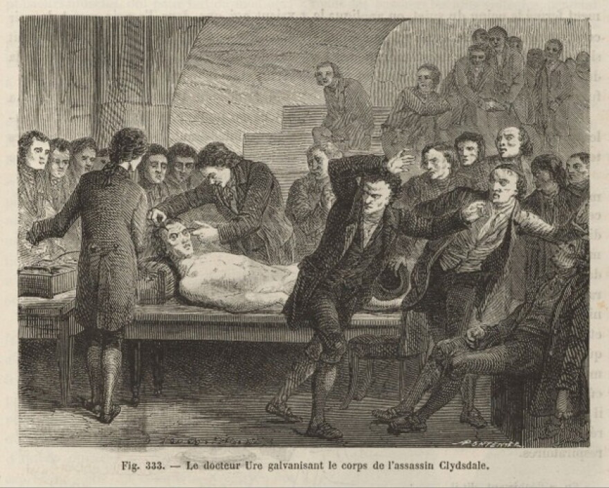 A crowd of scientists watch in horror as Andrew Ure makes the lifeless body of Matthew Clydesdale tremble and twitch with electricity. 1867 illustration, Houghton Library, Harvard University.