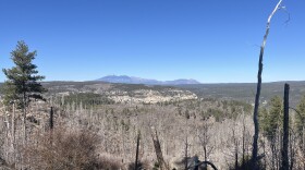 A view of the San Francisco Peaks from the rim of Oak Creek Canyon, March 8, 2026.