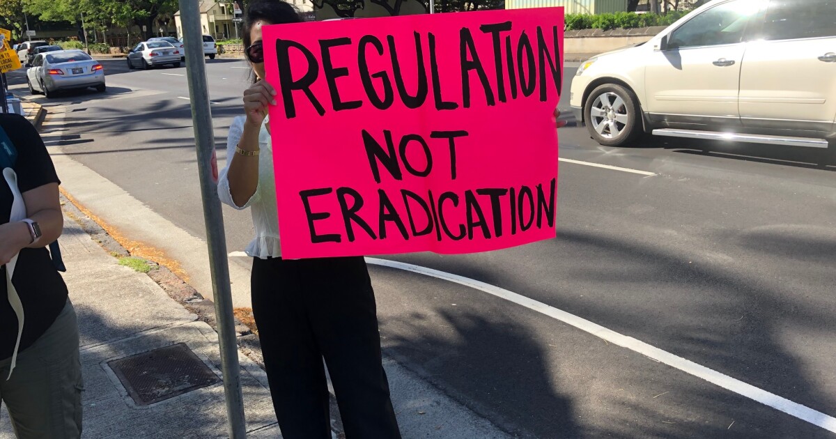 Honolulu Council Passes New Vacation Rental Rules, Mayor Expected to