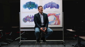 Davi Bock, a researcher in UVM’s Department of Neurological Sciences, is pictured with three-dimensional visualizations connected to his research mapping neural circuits.
