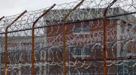 About half the juvenile offenders released from prison on Rikers Island in New York return within a year, New York City Department of Corrections Commissioner Dora Schriro says.