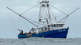 Capt. Hank Slavens was out to sea for three days aboard the Nedian fishing for salmon. He says he spent $1,500 on fuel and his earnings were slim.
