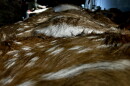 The crewmembers of Maui Nui venison unload the carcasses of axis deer so they can be processed into venison.