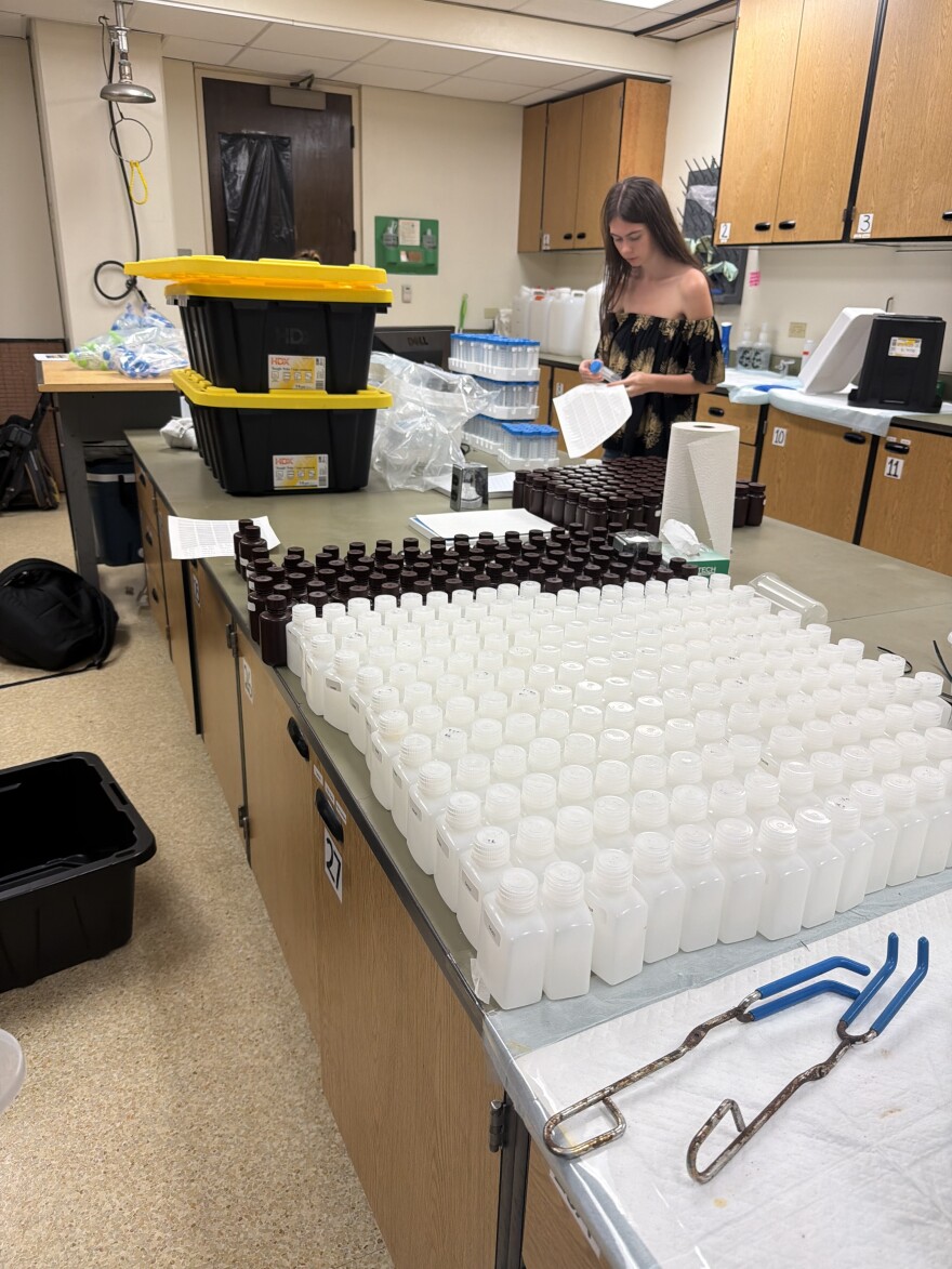 Student, Hannah, labeling hundreds of bottles in the Kealoha Lab and the Silbiger Lab.