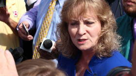 State superintendent Glenda Ritz talks to reporters after announcing her candidacy for governor of Indiana.