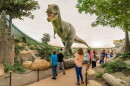 The Sternberg Museum of Natural History in Hays has a collection of more than 3 million fossils and other specimens.