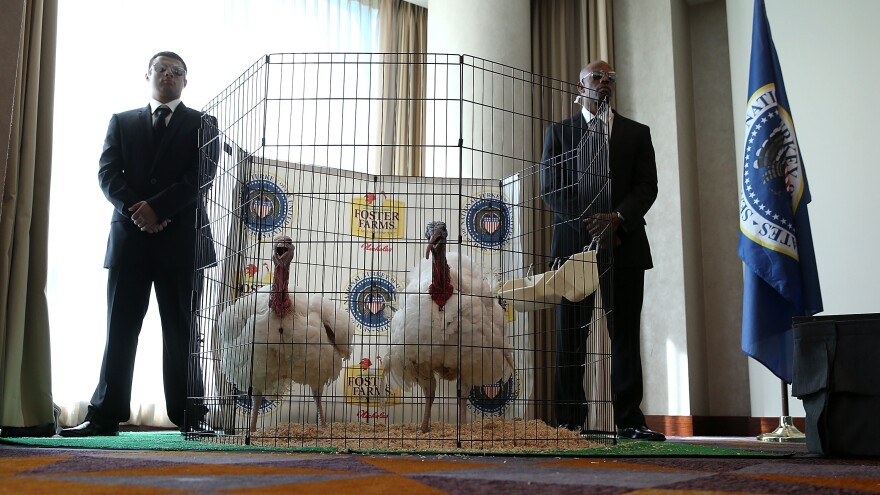 Men dressed as Secret Service agents stand guard next to Tom One and Tom Two, the 2015 turkey and alternate.