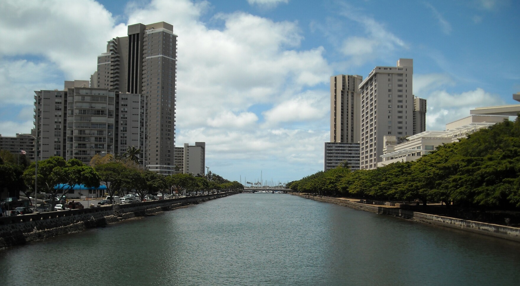 Researchers say flesheating bacteria in the Ala Wai Canal may triple