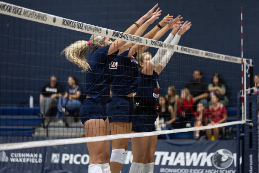 UA Volleyball 14