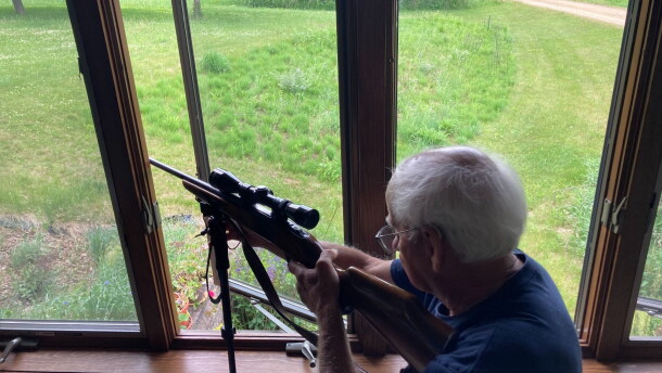 Dave Clausen, a retired veterinarian in Amery, Wisconsin, poses with his rifle in his living room window. “Sometimes I go out to start the coffee and I'll take a quick look out the window,” Clausen said. If he sees a deer, he shoots. He’s able to do so because of nuisance permits, which allow him to harvest white-tailed deer outside of Wisconsin’s hunting season. (credit: Ellie Katz / Points North)