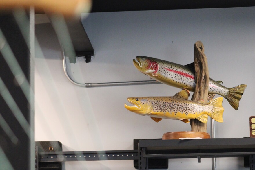 models of fish sit on a shelf 