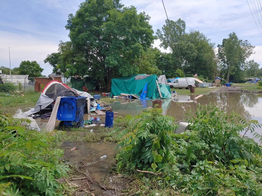 View of tents on muddy ground with large puddles, bushes in the foreground and trees in the background under blue sky