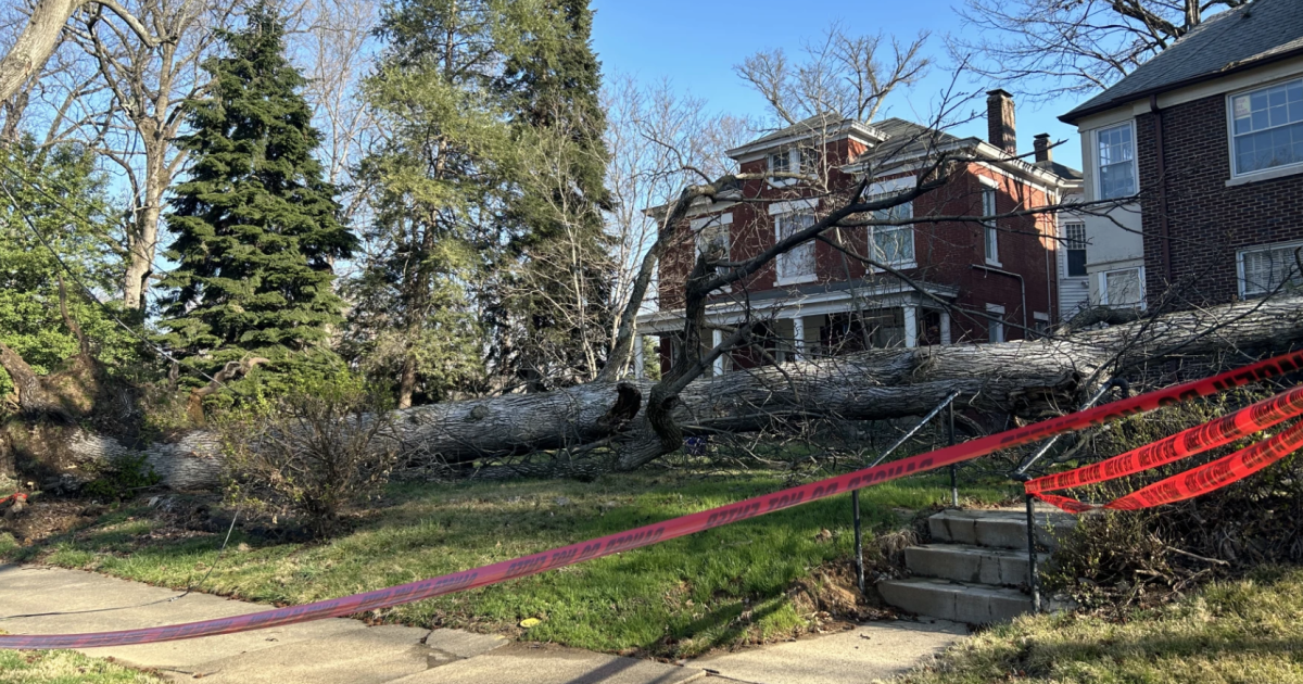 Five dead, thousands without power in Kentucky following thunderstorms ...