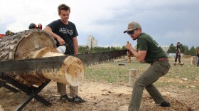 Senior Jack Gilmore tries his hardest using the cross-cut saw. He's studying natural resources management with a minor in forestry, and he sees himself doing urban forestry consulting once he graduates.