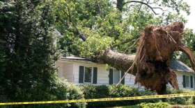 Five private insurers in Florida have been declared insolvent since February. (Huguette Roe/Hroephoto/ Stock.Adobe.Com)
