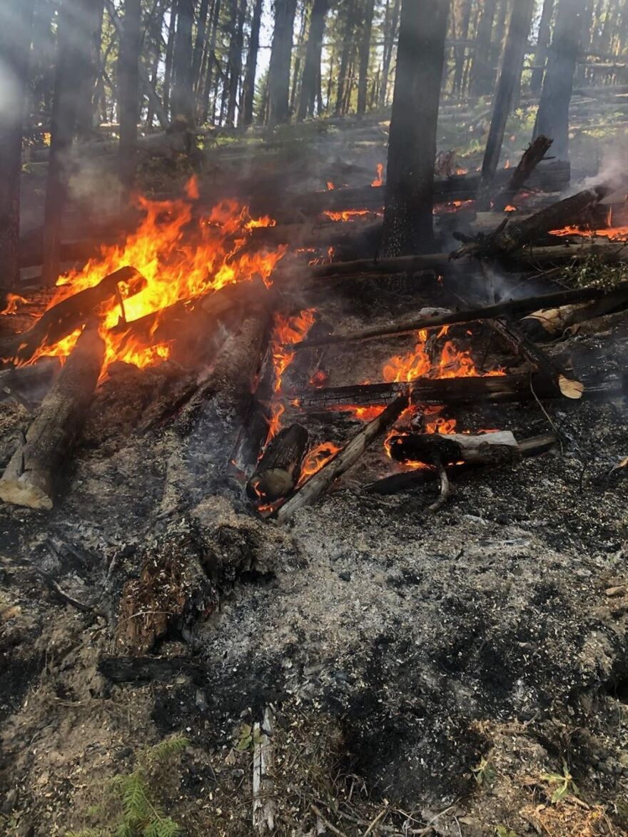 A lightning-caused fire on Boyd Mountain in the Superior Ranger District, near St. Regis, MT, August 19, 2020.