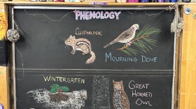 Chalk illustrations show wintergreen, a Great Horned Owl, a Mourning Dove, and a chipmunk.