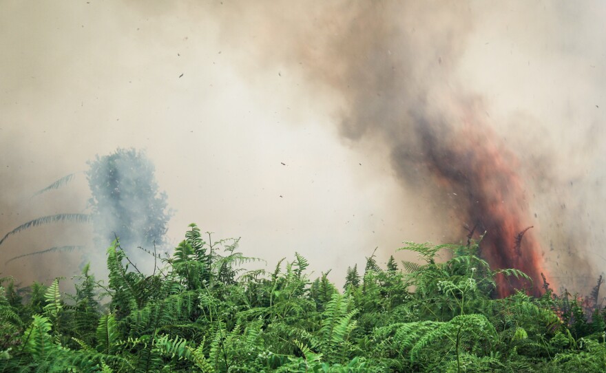 Smoke and flames rise from a peat fire in West Kalimantan Province. Peat fires and deforestation contribute to Indonesia's status as a leading carbon emitter.