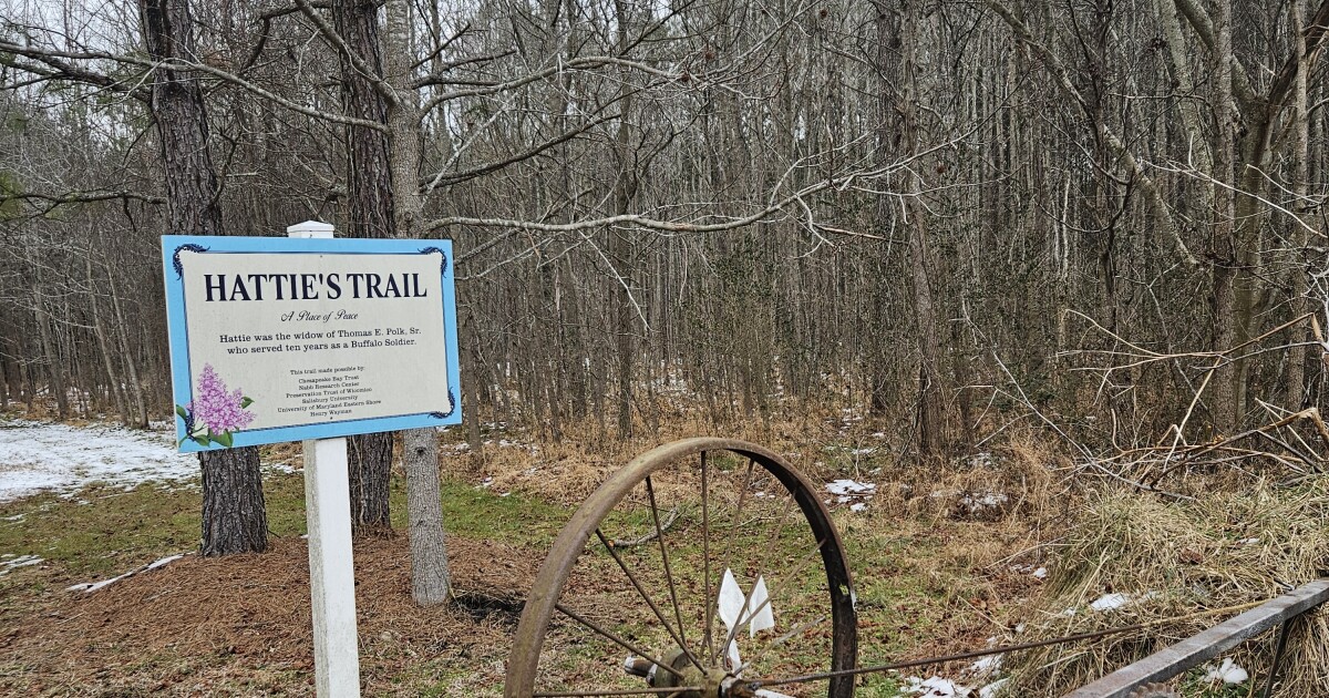 Exploring Polk Outpost: A Walk Through Buffalo Soldier History