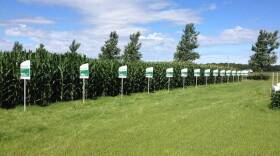 The $130 billion merger between Dow and DuPont received conditional federal approval Thursday.