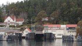 A boat dock in water with cream-colored buildings along the coastline with red roofs surrounded by tall trees and water.