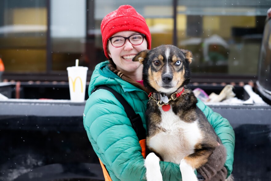 Sarah Jane is a 5-year-old dog on Iditarod musher Meredith Mape’s team. Mapes said Sarah Jane is the queen of the dog yard. The 2020 Iditarod Trail Sled Dog race held its ceremonial start in Anchorage on Saturday, March 7, 2020. (Joey Mendolia/Alaska Public Media)
