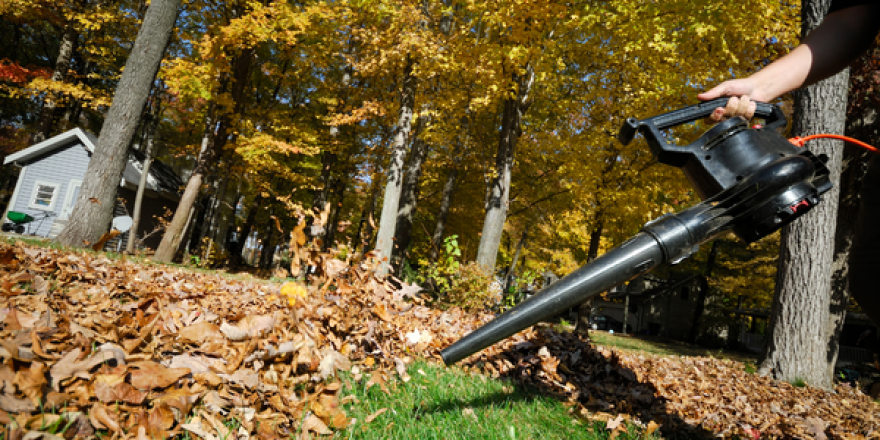 Leaf blowers are loud, and they pollute the air, but state law doesn't allow communities to ban them.