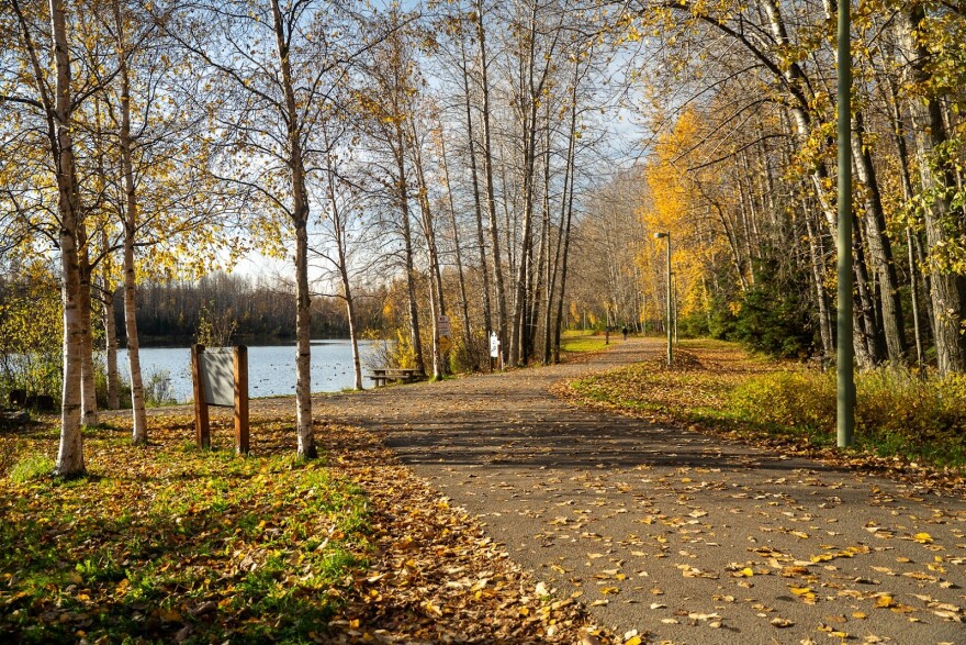 A lake and trees covered in autumn leaves
