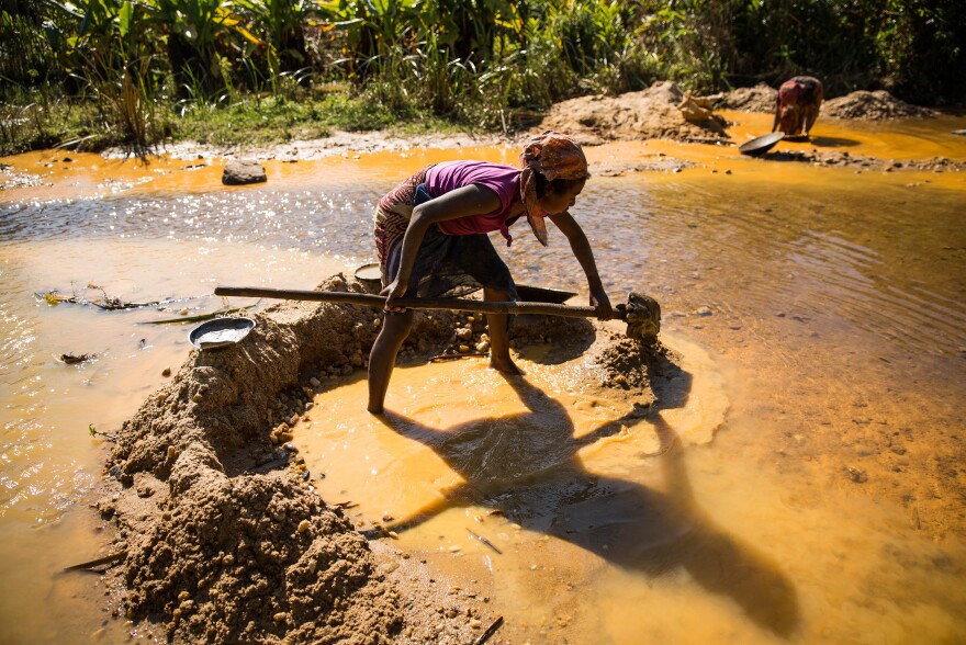 Farmers use what gold they find to support their rice fields, which have been battered by inconsistent weather patterns.