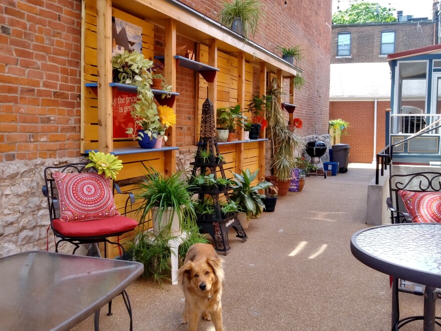 A very good boy enjoys a Lafayette Square patio. In the historic district, residents find ways to create inviting outdoor spaces even on small lots.