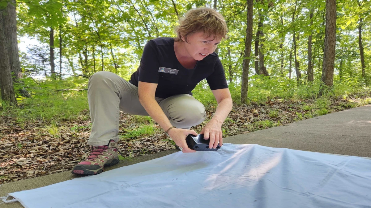 How to stay safe in Missouri from tick-related illnesses - Vimarsana News