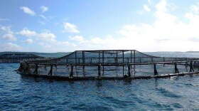 Offshore aquaculture uses fish cages similar to these inshore cages, except they are submerged and moved offshore into deeper water. (Wiki Commons)