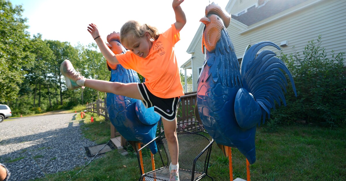 Ogunquit's spat over six-foot-tall roosters gets national attention